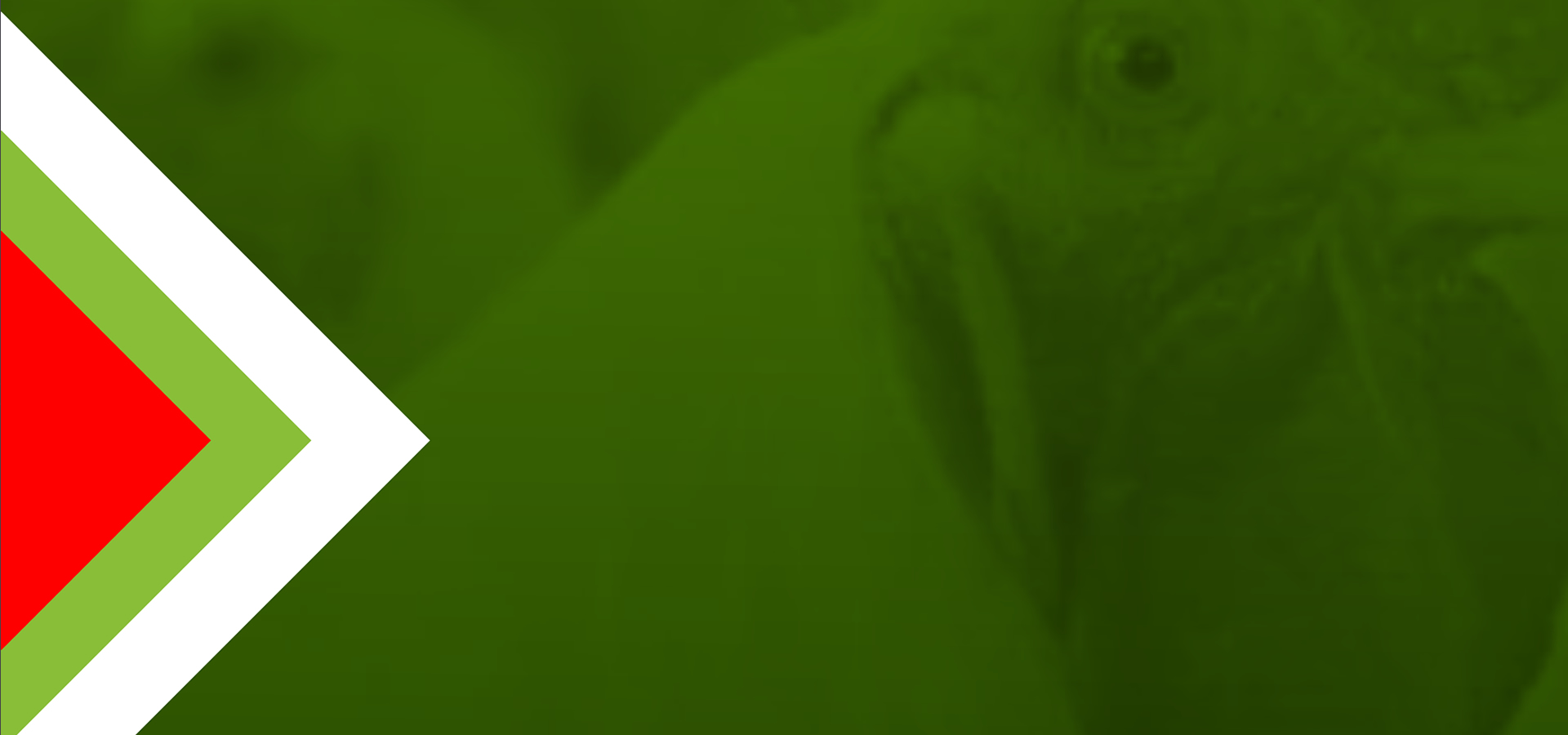 Slider One Image